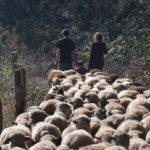 Petits producteurs agricoles