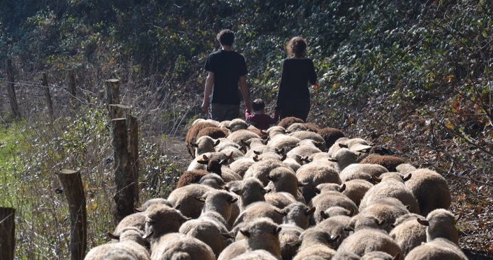 Petits producteurs agricoles