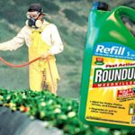 Roundup