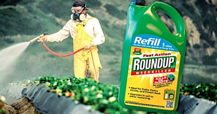 Roundup